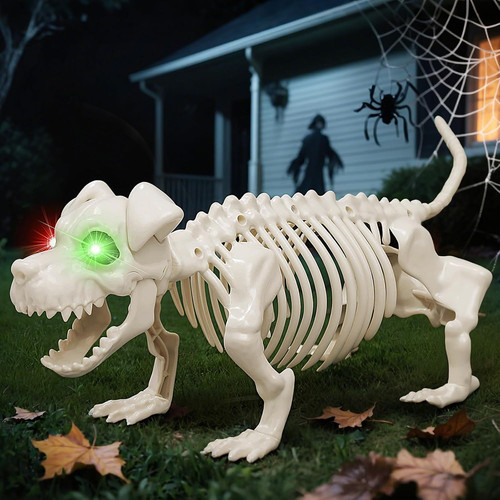 Halloween decoration skeleton - halloween,