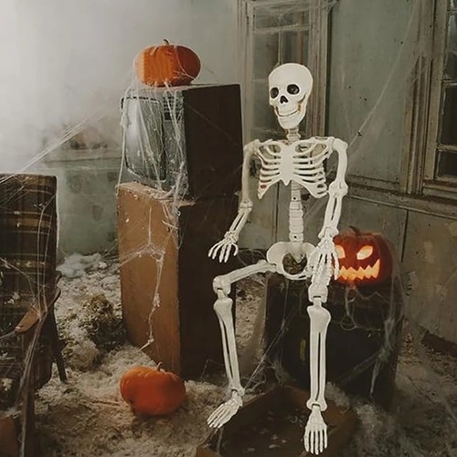 Halloween human skeleton - halloween,