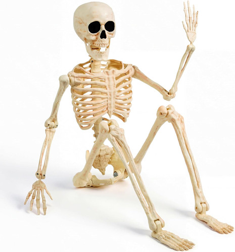 Halloween skeleton decor - skeleton,