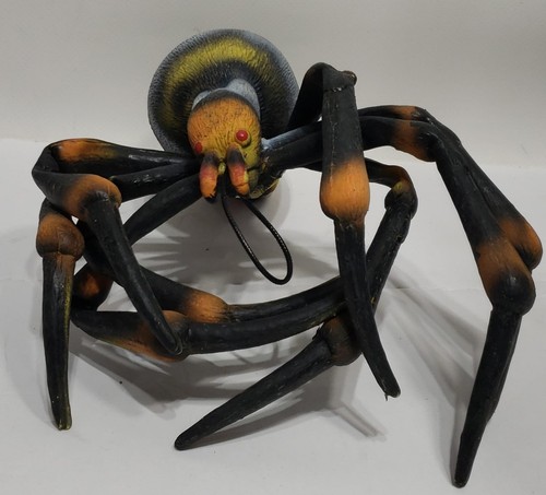 Ashland giant joro spider - ashland,