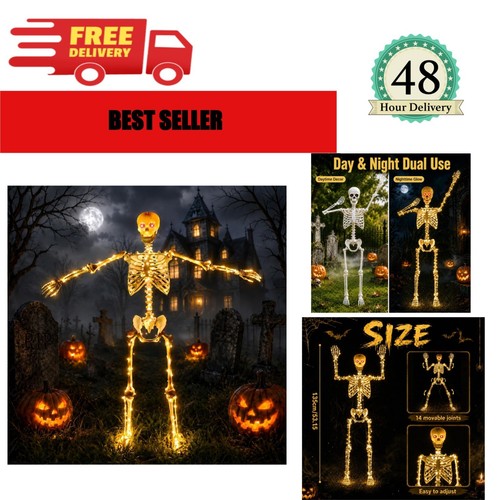 Light halloween skeleton - halloween,