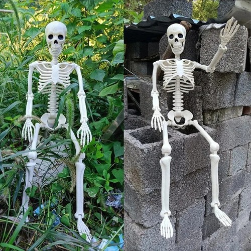 Halloween human skeleton - halloween,